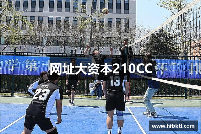 网址大资本210CC